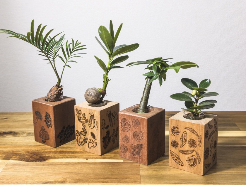 いきもにあ2025 樹源 ‐KiGen‐