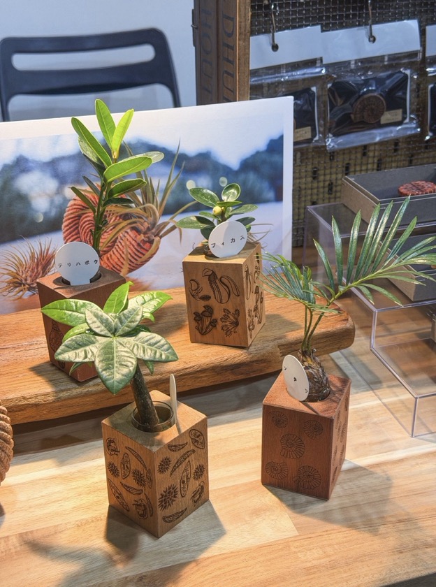 いきもにあ2025 樹源 ‐KiGen‐