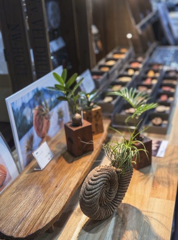 いきもにあ2025 樹源 ‐KiGen‐